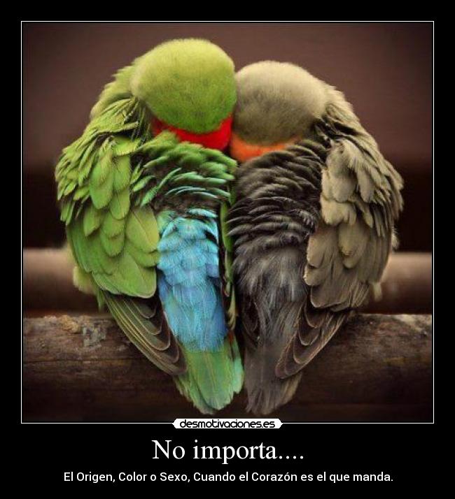 No importa.... -
