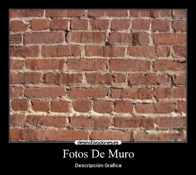 Fotos De Muro - 