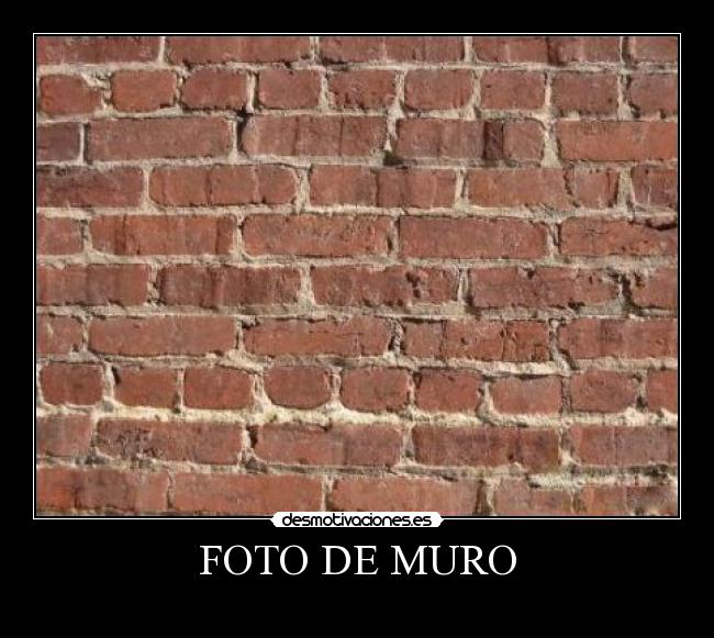 FOTO DE MURO -