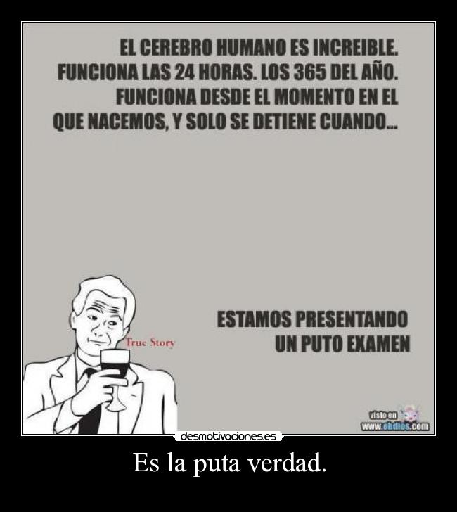 Es la puta verdad. - 