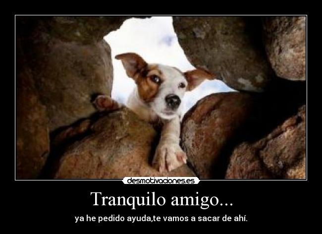 Tranquilo amigo... - 