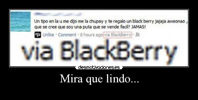 carteles blackberry facil puta que lindo desmotivaciones