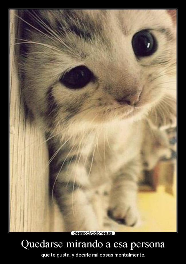 Quedarse mirando a esa persona - 