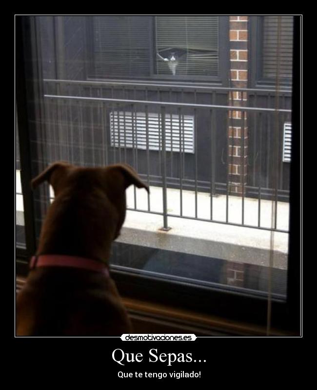 Que Sepas... - Que te tengo vigilado!