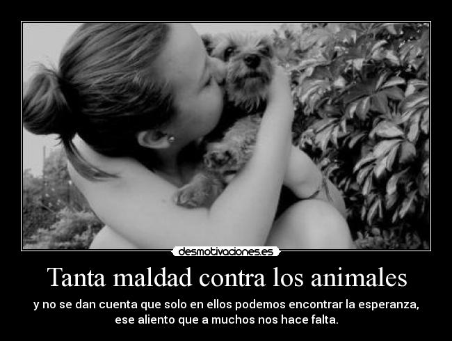 Tanta maldad contra los animales - 