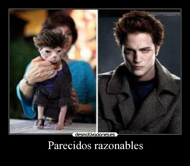 Parecidos razonables - 