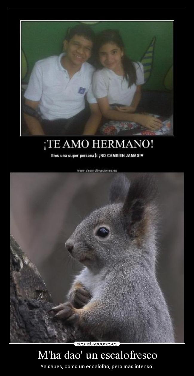 carteles las ardillas molan desmotivaciones