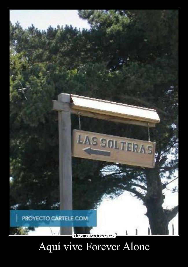 carteles las solteras casa una forever alone desmotivaciones