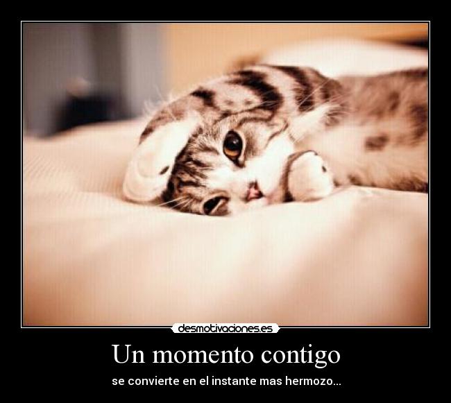 Un momento contigo -