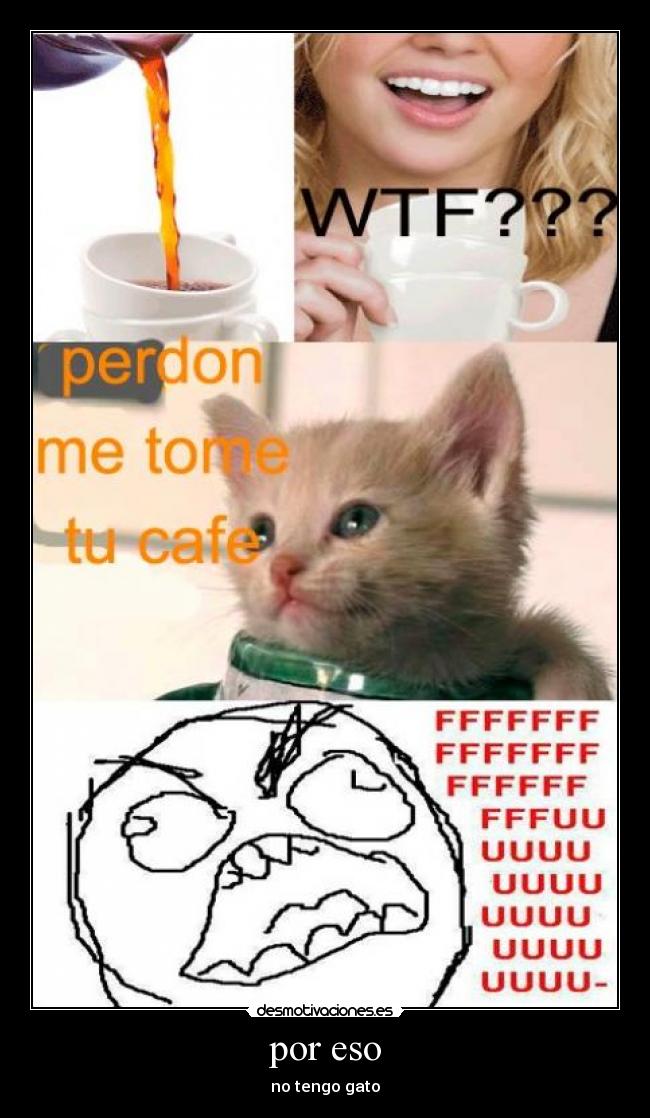 por eso - no tengo gato