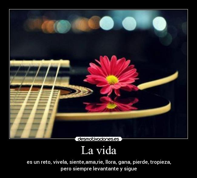 La vida - 