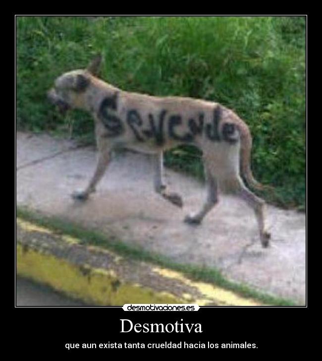 Desmotiva - que aun exista tanta crueldad hacia los animales.