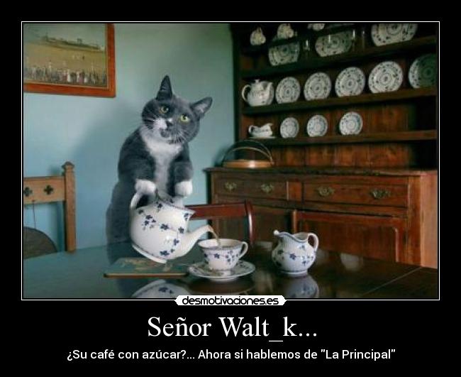 Señor Walt_k... -