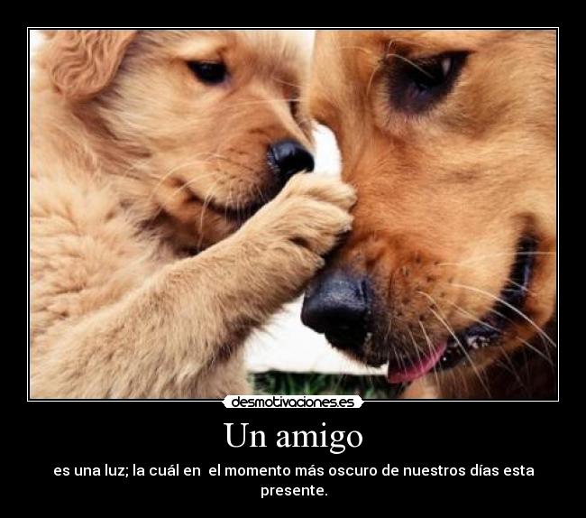 Un amigo - es una luz; la cuál en el momento más oscuro de nuestros días esta presente.