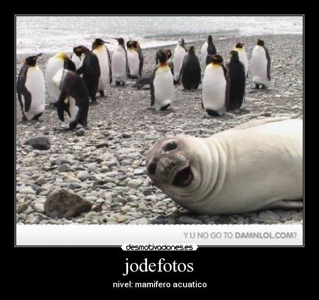jodefotos - 