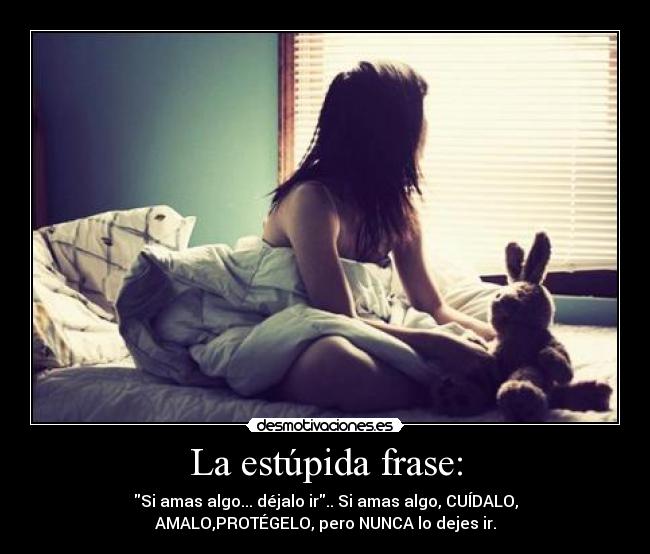 La estúpida frase: -