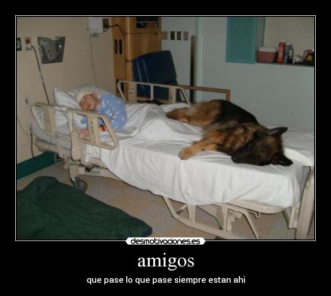 amigos -
