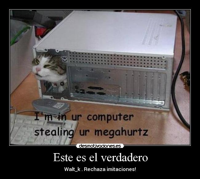 carteles gatospendejo computadora desmotivaciones