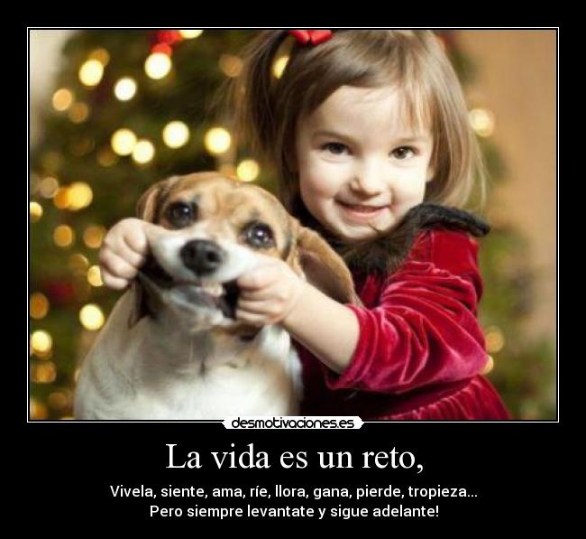 La vida es un reto, - Vivela, siente, ama, ríe, llora, gana, pierde, tropieza...
Pero siempre levantate y sigue adelante!