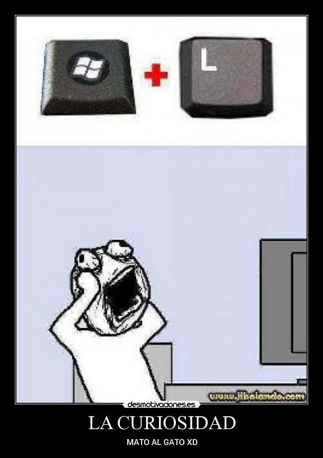 LA CURIOSIDAD - MATO AL GATO XD