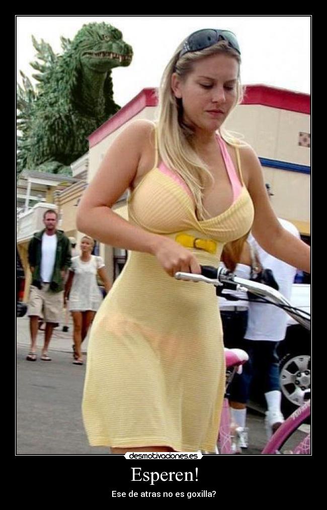 Esperen! - Ese de atras no es goxilla?