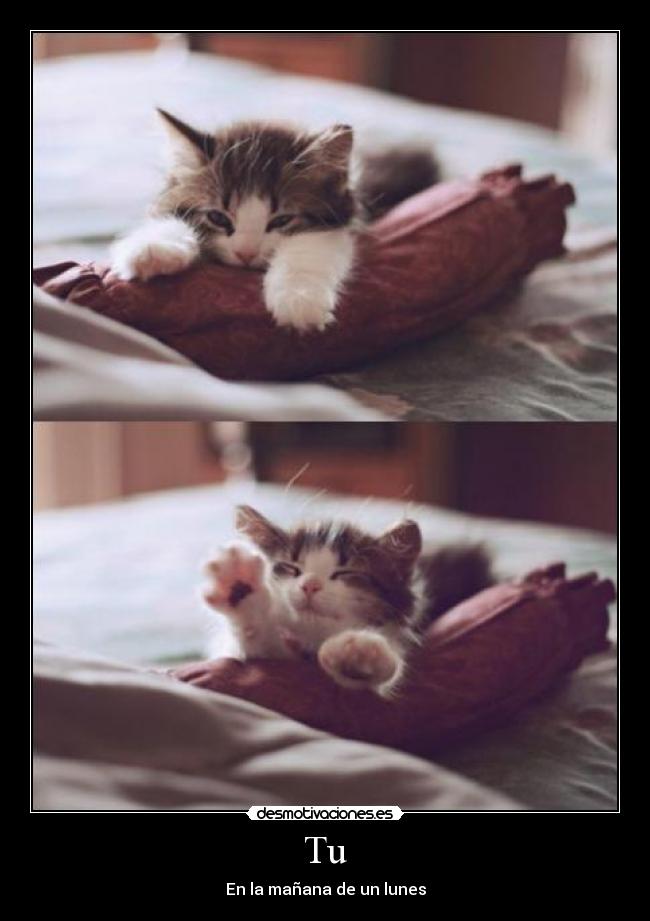 Tu - En la mañana de un lunes