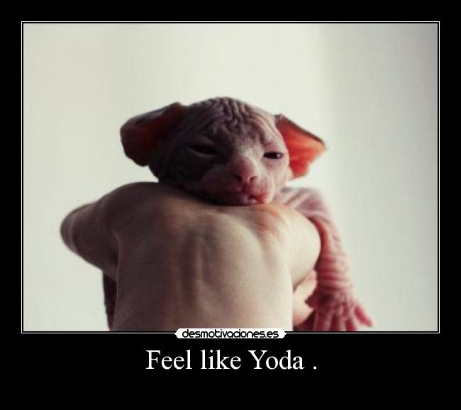 Feel like Yoda . - 