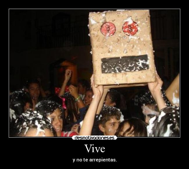 Vive - 