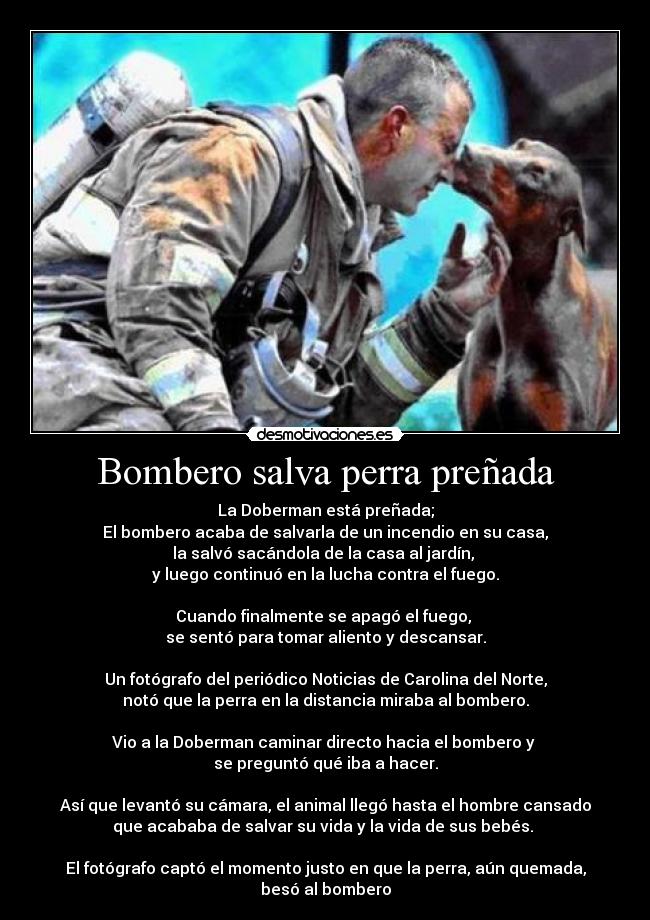Bombero salva perra preñada - 