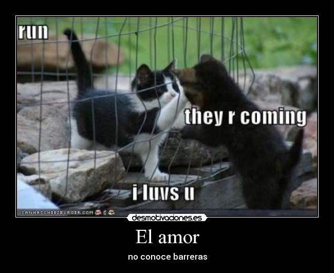 El amor - no conoce barreras