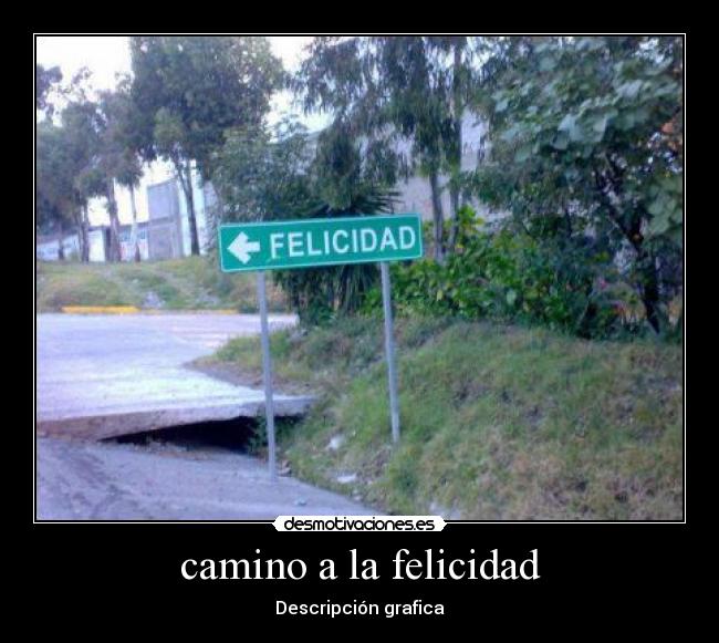 camino a la felicidad - Descripción grafica