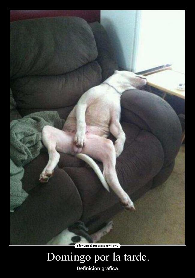 Domingo por la tarde. - 