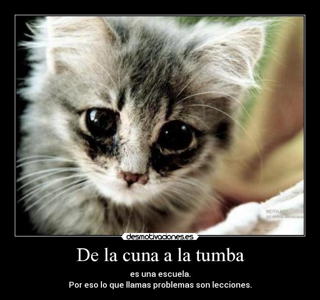 De la cuna a la tumba - 