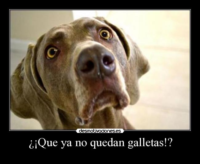 ¿¡Que ya no quedan galletas!? -
