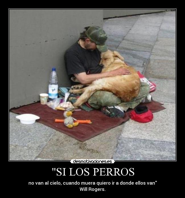 SI LOS PERROS - 