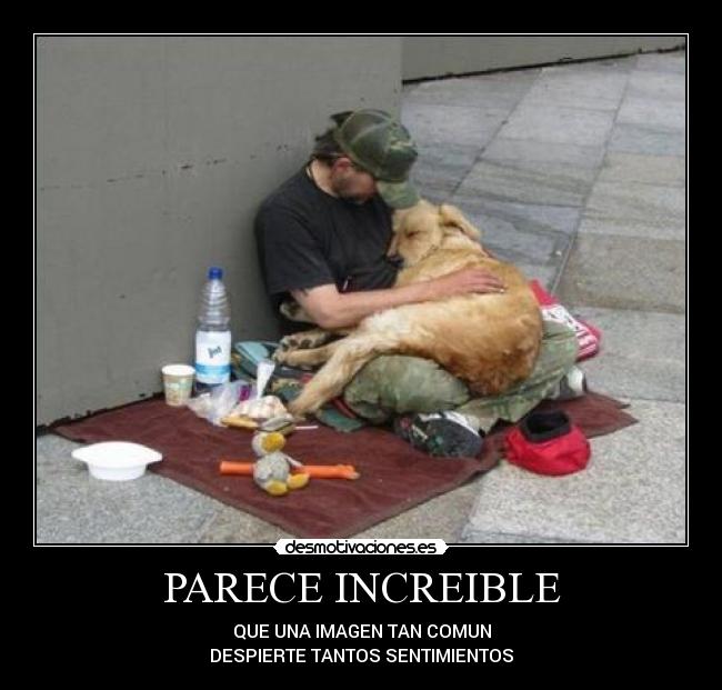 PARECE INCREIBLE - 