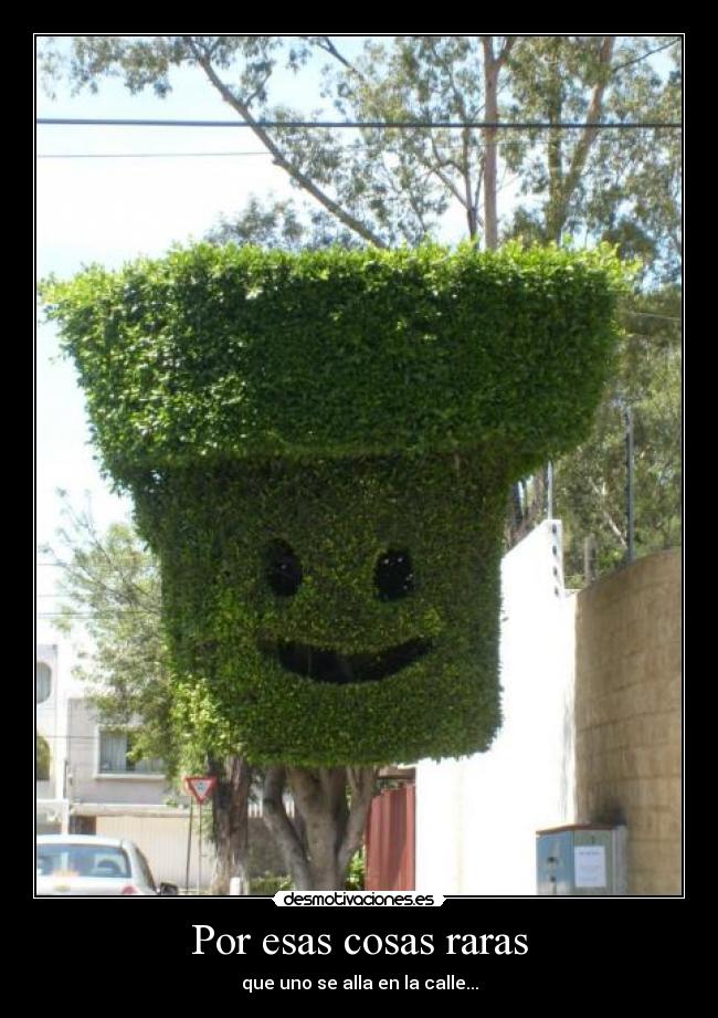 Por esas cosas raras -