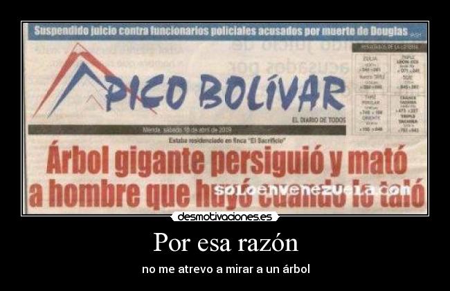 carteles arbol asesino desmotivaciones