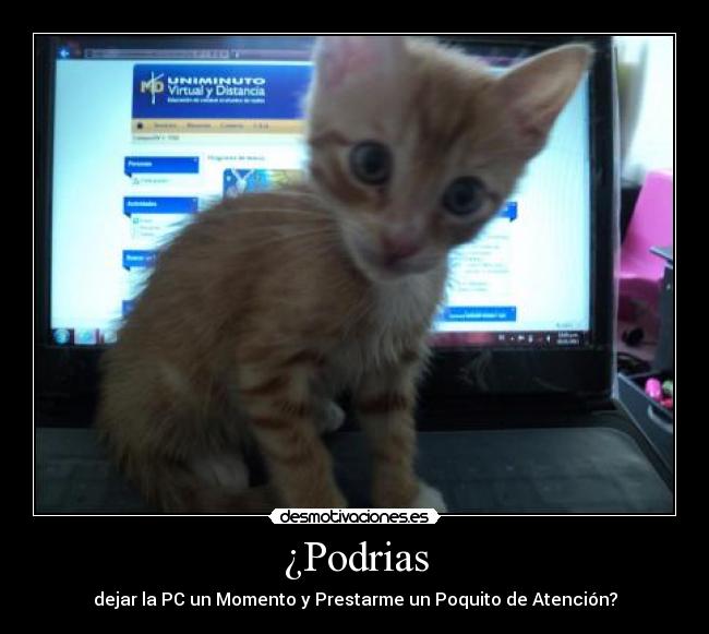 ¿Podrias - 