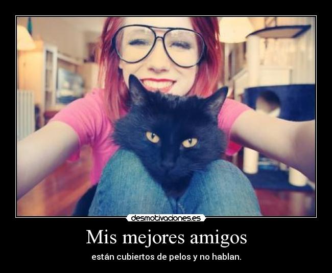 Mis mejores amigos -