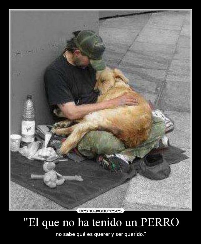 El que no ha tenido un PERRO - no sabe qué es querer y ser querido.