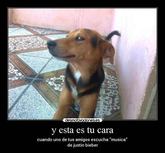 carteles justin bieber desmotivaciones