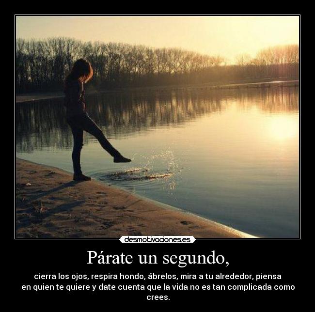 carteles asssssdf desmotivaciones