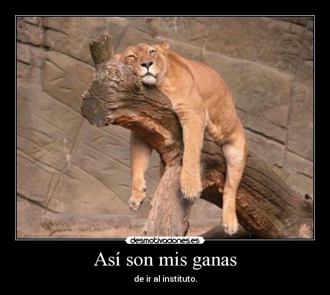 Así son mis ganas - de ir al instituto.
