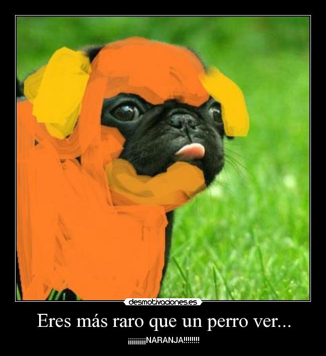 Eres más raro que un perro ver... - ¡¡¡¡¡¡¡¡¡NARANJA!!!!!!!!