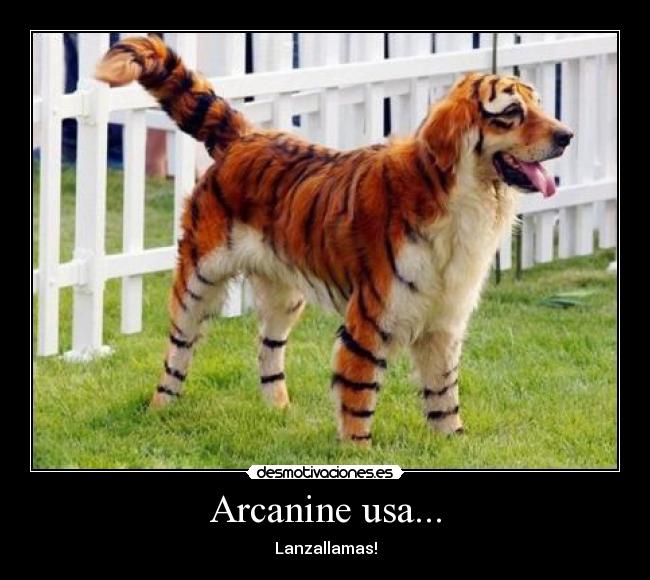 Arcanine usa... - 