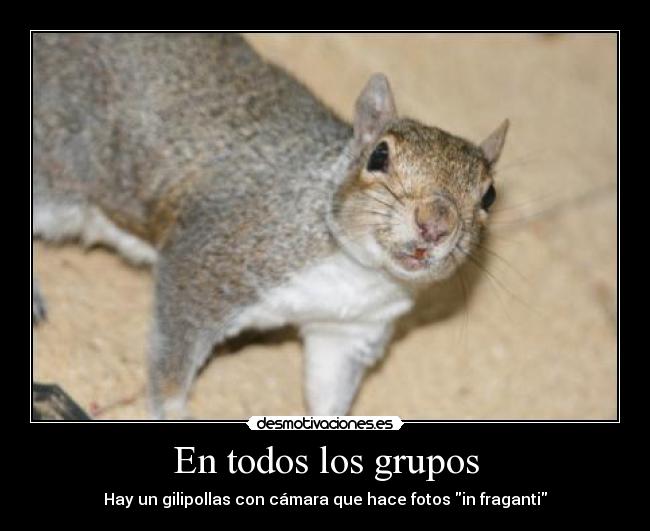 carteles las ardillas molan desmotivaciones