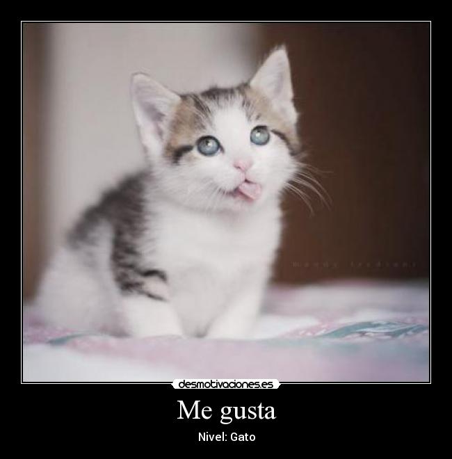 Me gusta -
