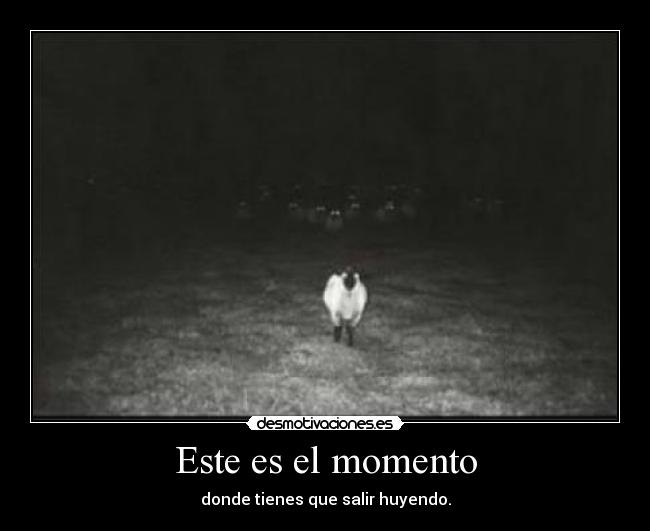 Este es el momento - donde tienes que salir huyendo.