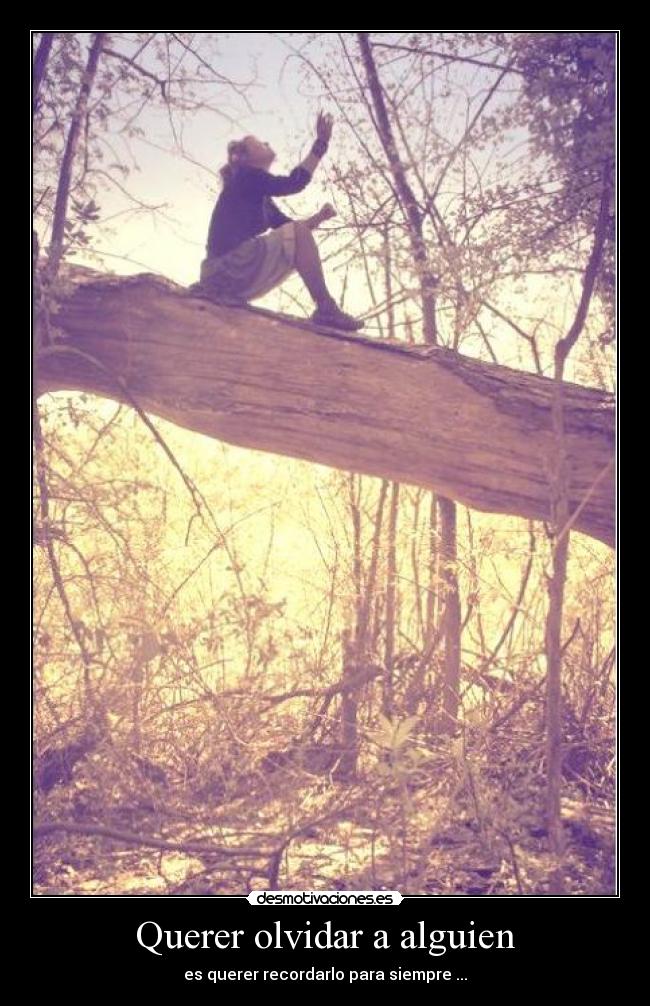 Querer olvidar a alguien - es querer recordarlo para siempre ...